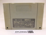 SK2899 Dino Wars SNES Super Famicom Japan