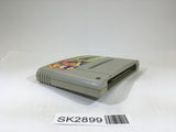 SK2899 Dino Wars SNES Super Famicom Japan