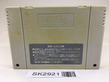 SK2921 Puzzle Bobble SNES Super Famicom Japan