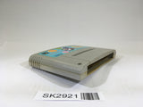 SK2921 Puzzle Bobble SNES Super Famicom Japan