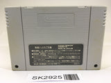 SK2925 Wild Trax Stunt Race FX SNES Super Famicom Japan