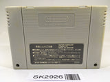 SK2926 F Zero SNES Super Famicom Japan