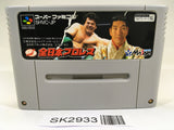 SK2933 Zen Nippon ProWrestling SNES Super Famicom Japan
