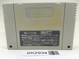 SK2934 Astral Bout SNES Super Famicom Japan