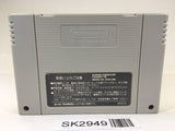 SK2949 Super Donkey Kong Country SNES Super Famicom Japan