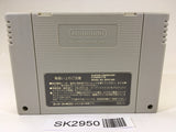SK2950 Super Donkey Kong Country SNES Super Famicom Japan