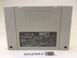 SK2953 Super Donkey Kong Country 2 SNES Super Famicom Japan