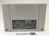SK2954 Super Donkey Kong Country 2 SNES Super Famicom Japan
