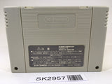 SK2957 Super Donkey Kong Country 3 SNES Super Famicom Japan