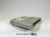 SK2969 Hanjuku Hero SNES Super Famicom Japan