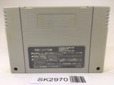 SK2970 Ogre Battle The March of the Black Queen SNES Super Famicom Japan