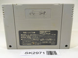 SK2971 Super Chinese World 2 SNES Super Famicom Japan