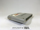 SK2974 Battle Master Kyuukyoku no Senshitachi SNES Super Famicom Japan
