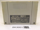 SK3001 Fire Emblem Monshou no Nazo SNES Super Famicom Japan