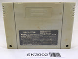 SK3002 Fire Emblem Seisen no Keifu SNES Super Famicom Japan