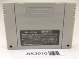 SK3010 Sansara Naga 2 SNES Super Famicom Japan