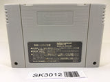 SK3012 Castlevania Akumajou Dracula SNES Super Famicom Japan