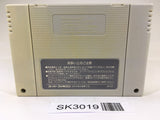 SK3019 Ultima VI 6 Itsuwari no Yogensha SNES Super Famicom Japan