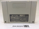 SK3020 Ultima Gaiden Kurokishi no Inbou SNES Super Famicom Japan