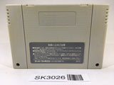 SK3026 Drakkhen SNES Super Famicom Japan