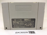 SK3028 Terranigma Tenchi Souzou SNES Super Famicom Japan