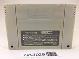 SK3029 Wizardry V 5 SNES Super Famicom Japan