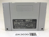 SK3030 Elnard The 7th Saga SNES Super Famicom Japan