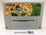 SK3040 Soul & Sword SNES Super Famicom Japan