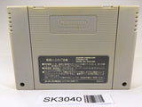 SK3040 Soul & Sword SNES Super Famicom Japan