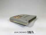 SK3040 Soul & Sword SNES Super Famicom Japan