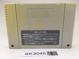 SK3045 Super Inindou Datou Nobunaga SNES Super Famicom Japan