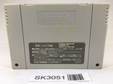 SK3051 Star Fox SNES Super Famicom Japan