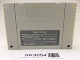 SK3054 Populous SNES Super Famicom Japan