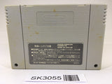 SK3055 Darius Twin SNES Super Famicom Japan