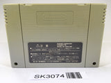 SK3074 Yu Yu Hakusho SNES Super Famicom Japan