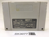 SK3077 Yu Yu Hakusho 2 SNES Super Famicom Japan