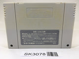 SK3078 Super Puyo Puyo SNES Super Famicom Japan