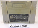 SK3079 Super Puyo Puyo 2 Remix Tsu SNES Super Famicom Japan