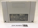 SK3085 Super Wagyan Land SNES Super Famicom Japan