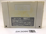 SK3086 Super Wagyan Land SNES Super Famicom Japan