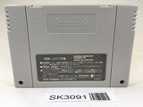 SK3091 Wagyan Paradise Land SNES Super Famicom Japan