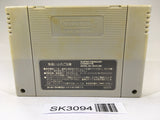 SK3094 Torneco no Daibouken Fushigi no Dungeon SNES Super Famicom Japan