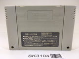 SK3104 Panel de Pon SNES Super Famicom Japan