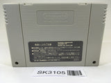 SK3105 Panel de Pon SNES Super Famicom Japan