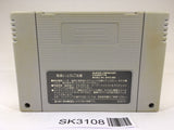 SK3108 Wild Trax Stunt Race FX SNES Super Famicom Japan