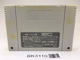 SK3110 Ace o Nerae! Aim for the Ace! Tennis SNES Super Famicom Japan