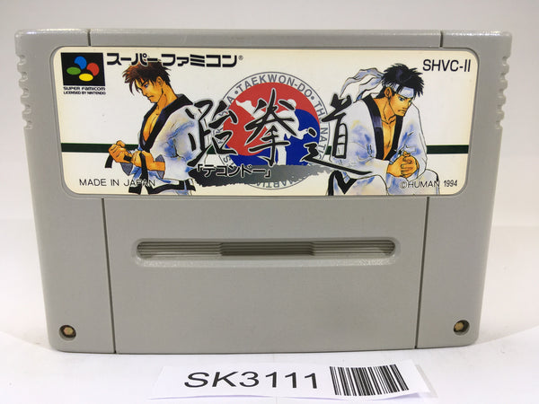 SK3111 TaekwonDo SNES Super Famicom Japan