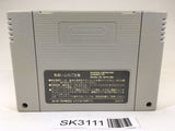 SK3111 TaekwonDo SNES Super Famicom Japan