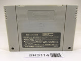 SK3114 Super Mario World SNES Super Famicom Japan