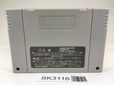SK3116 Super Mario World SNES Super Famicom Japan